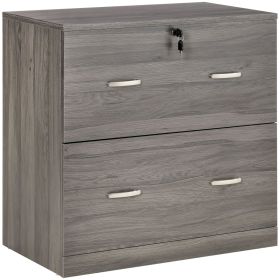 2 Drawer File Cabinet with Lock, Office Filing Cabinet, Hanging Bar for Letter Size, Home Office, Grey 2 Drawer File Cabinet with Lock, Office Filing Cabinet, Hanging Bar for Letter Size, Home Office, Grey